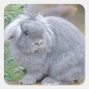 Search for grey rabbit stickers Happy easter