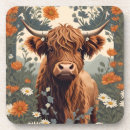 Search for highland cow coasters Floral