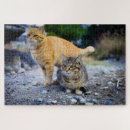 Search for tabby cat puzzles Grey