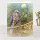 Search for hawk birthday cards Wildlife
