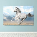 Search for sandy art Blue sky