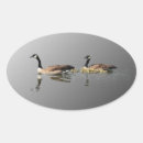 Search for little wing stickers Bird
