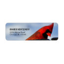Search for northern cardinal return address labels Nature