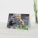Search for gibbon cards Humour