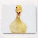 Search for ducklings electronics Animal