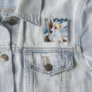 Search for corgis badges Canine