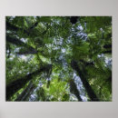 Search for wide angle posters Horizontal