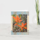 Search for desert flowers cards Colourful