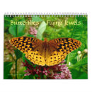 Search for butterfly calendars Insects