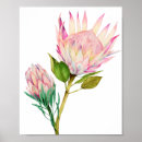 Search for protea decor Floral