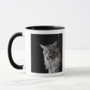 Search for coon mugs Feline