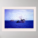 Search for shrimp art Coastal