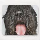 Search for a body electronics One animal
