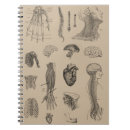 Search for anatomy notebooks Heart