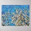Search for almond art Blossom