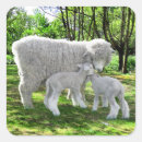 Search for easter lamb stickers Sheep