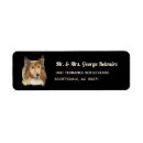 Search for rough labels Long haired collie