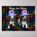Search for dog star posters Pets