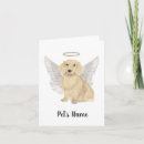 Search for long hair cards Dachshund