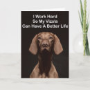 Search for vizslas cards Hungarian vizsla