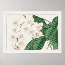Search for moth posters White