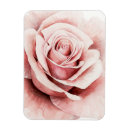 Search for botanicals magnets Pink