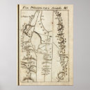 Search for without posters Map