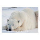 Search for canadian winter postcards Animal