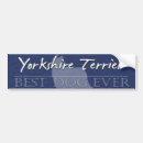 Search for yorkshire bumper stickers Dog