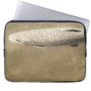 Search for trout electronics Wildlife