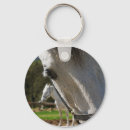 Search for stallionness key rings White