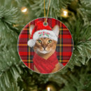 Search for cat christmas tree decorations Pets