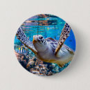 Search for maui badges Ocean