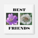 Search for templates magnets Nature