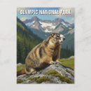 Search for marmot postcards Travel