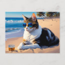 Search for beach cat postcards Fun