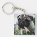 Search for pug dog key rings Animal