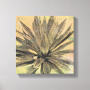 Search for desert canvas prints Botanical