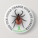 Search for ticks Lyme
