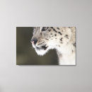 Search for wild one canvas prints Close up
