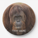 Search for gorilla paper plates Wildlife