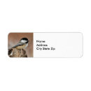 Search for snow capped return address labels Chickadee