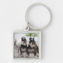 Search for miniature schnauzer key rings Animal