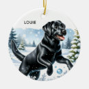 Search for black lab christmas decor Puppy
