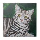 Search for tabby Black