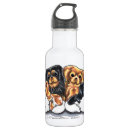 Search for water spaniel Cavalier king charles spaniel