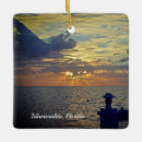 Search for sunrise christmas tree decorations Photography