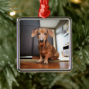 Search for mini christmas tree decorations Animal