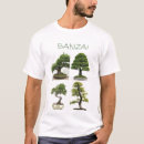 Search for bonzai tree Nature