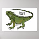Search for pet lizard posters Iguana